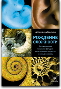 Присоединённое изображение