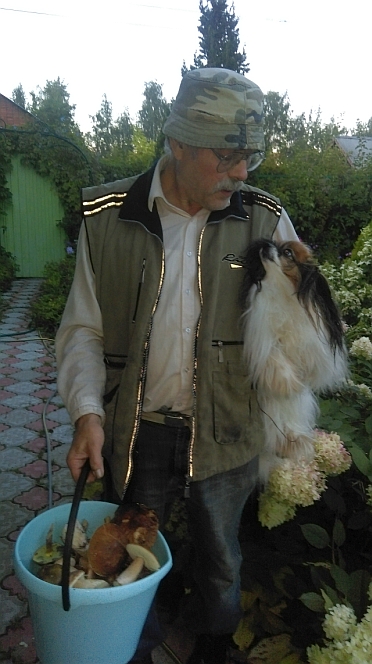 Присоединённое изображение