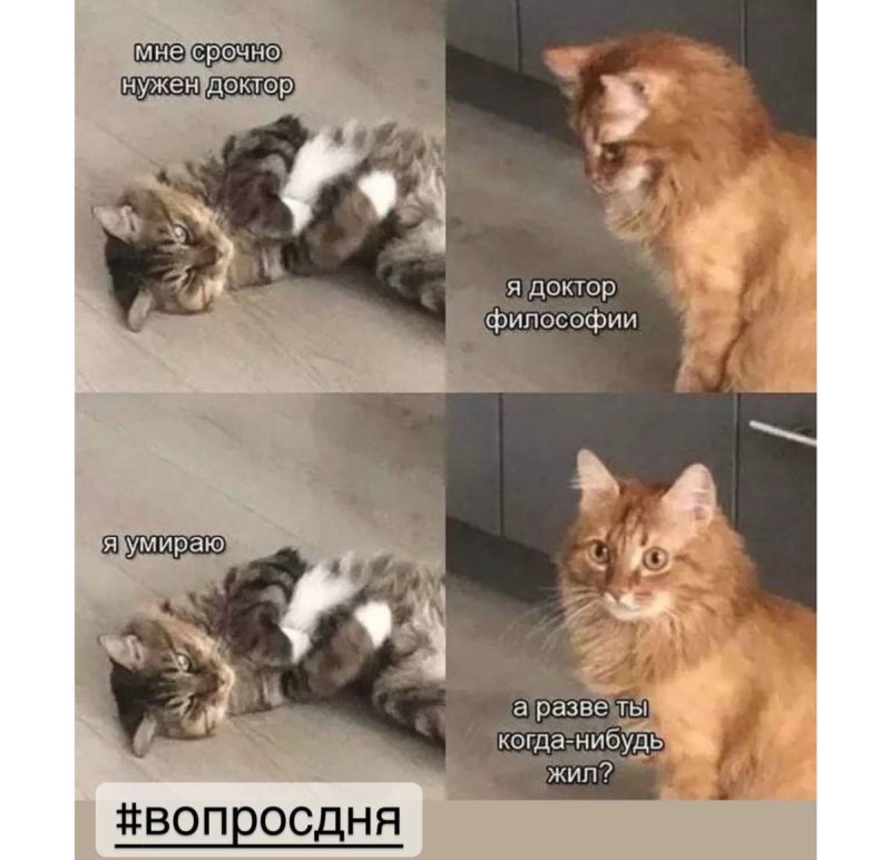 Присоединённое изображение